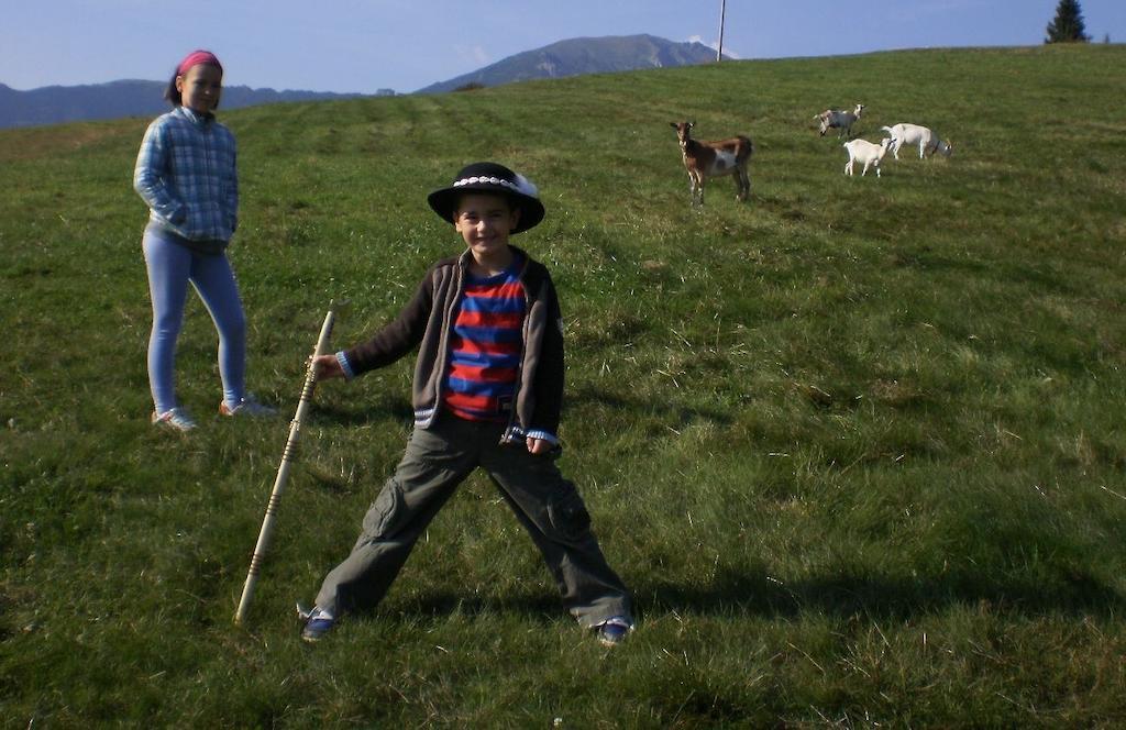 Penzion Deny Ždiar Exterior foto